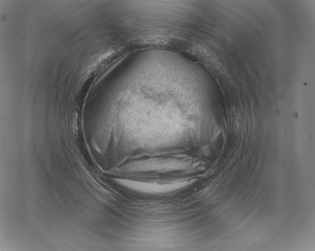 X0000062610692200601181630