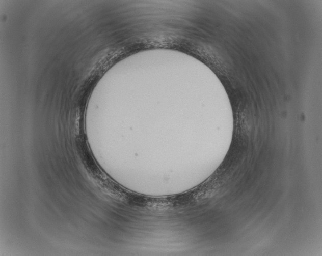 X0000062610694200601181630