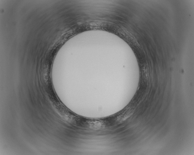 X0000062610698200601181630