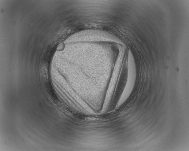 X0000062610699200601181630