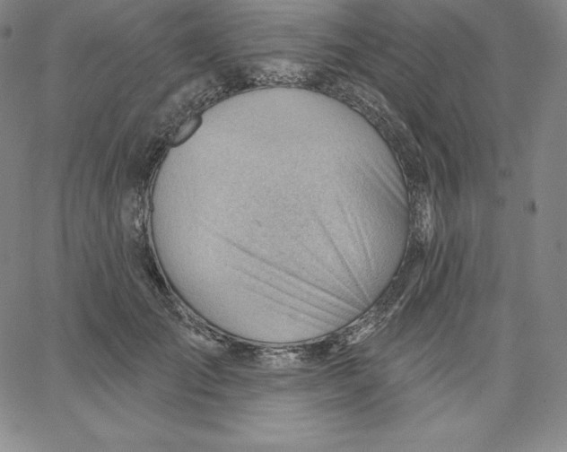 X0000062610701200601181629