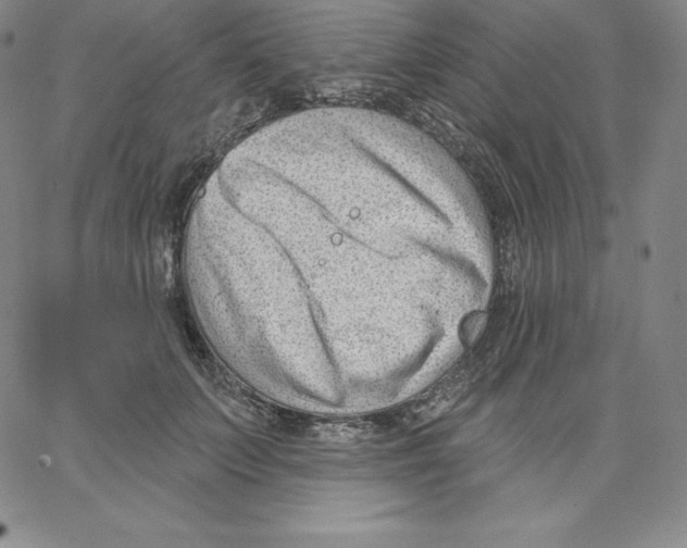 X0000062610703200601181629