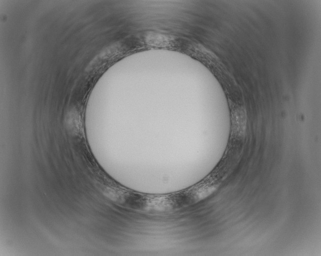 X0000062610705200601181629