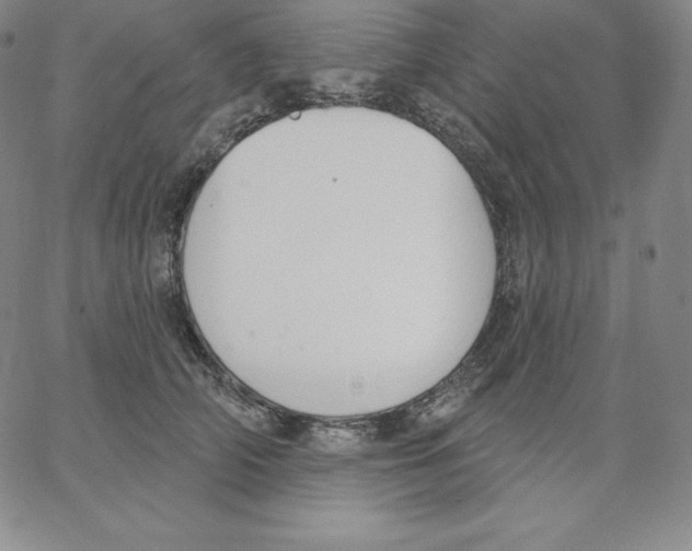 X0000062610706200601181629