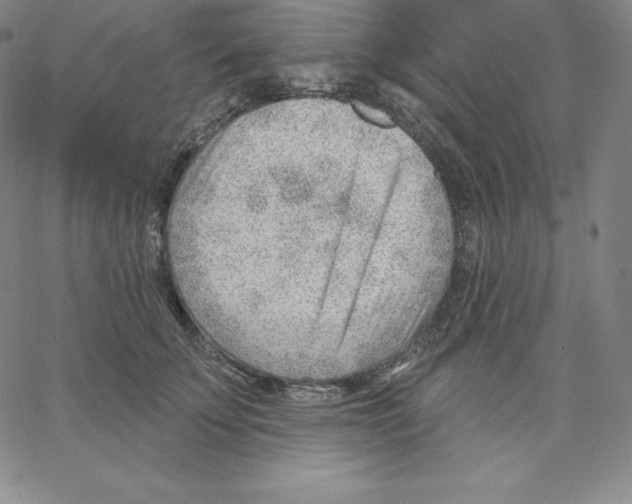 X0000062610707200601181629