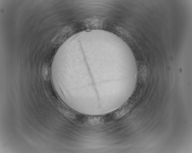 X0000062610709200601181629