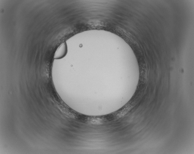 X0000062610710200601181629