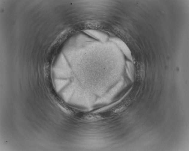 X0000062610712200601181629