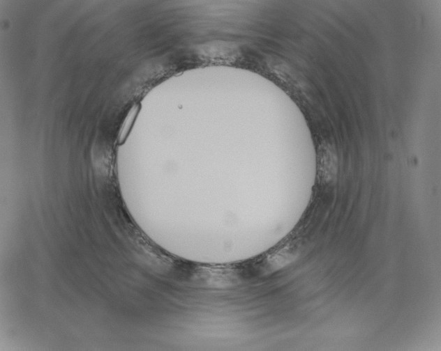 X0000062610713200601181629