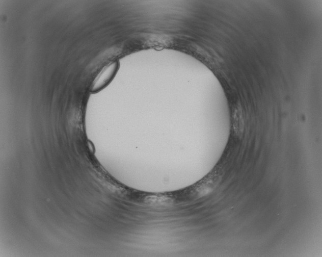 X0000062610714200601181629