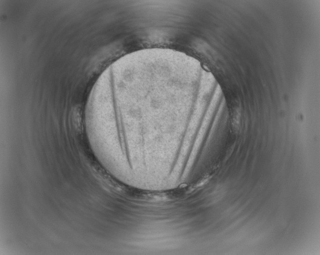 X0000062610715200601181629