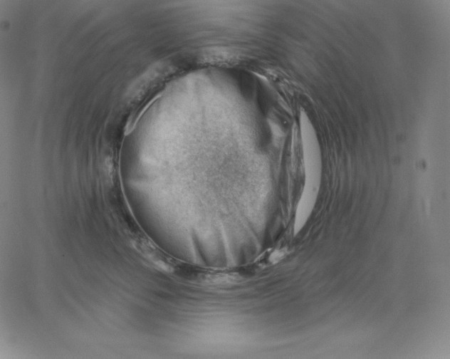 X0000062610716200601181629