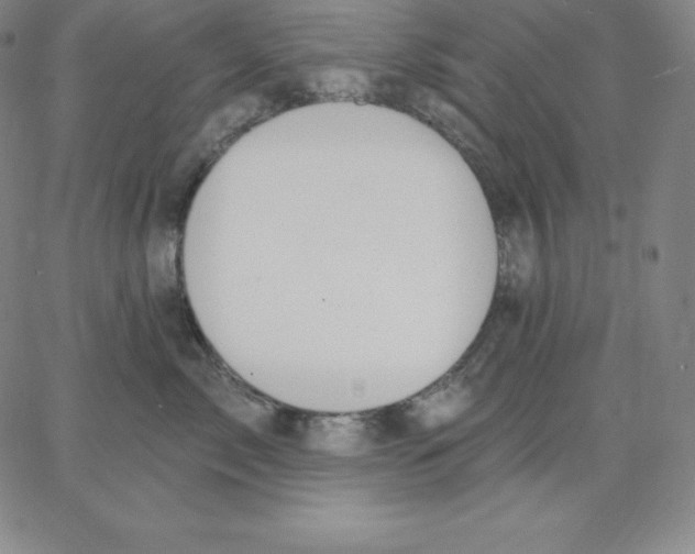 X0000062610717200601181629