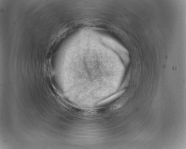 X0000062610720200601181629