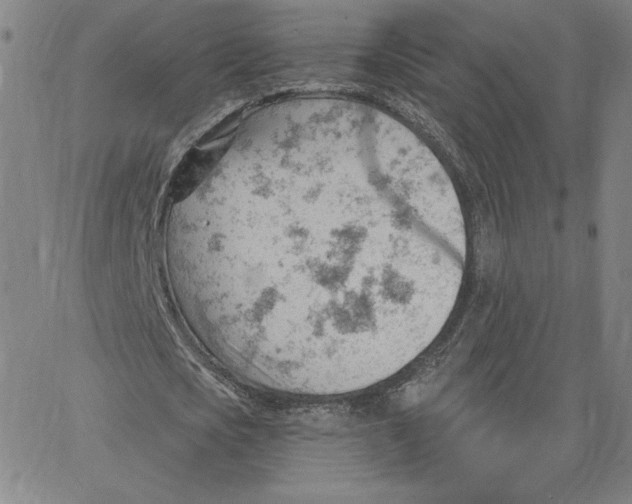 X0000062610721200601181628