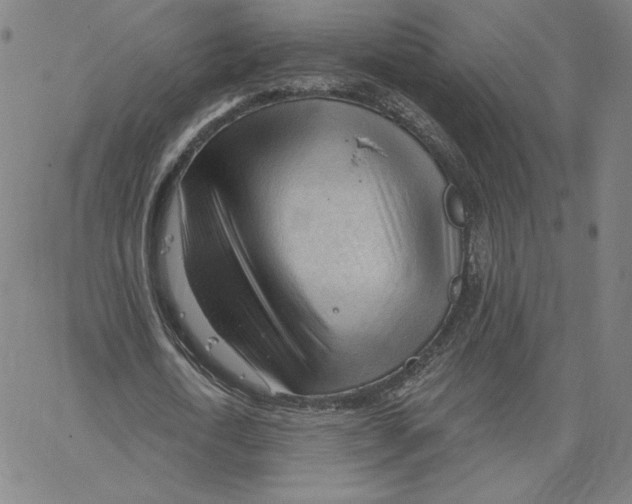 X0000062610722200601181628