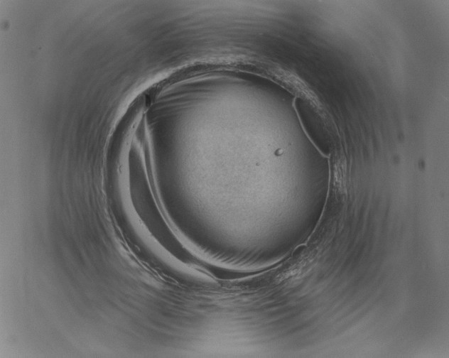 X0000062610724200601181628