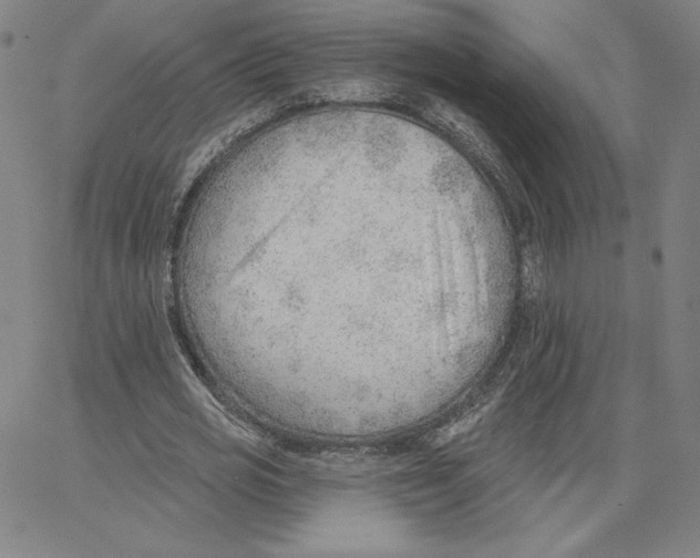 X0000062610725200601181628