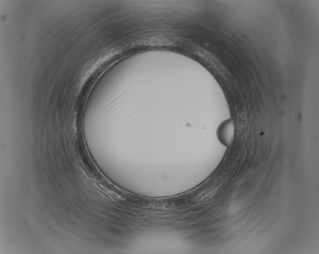 X0000062610727200601181629