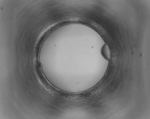 X0000062610728200601181629