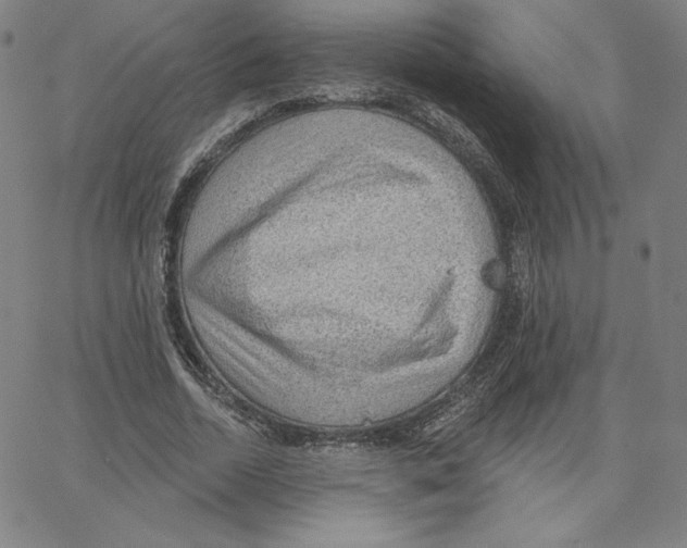 X0000062610730200601181629