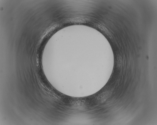 X0000062610731200601181629