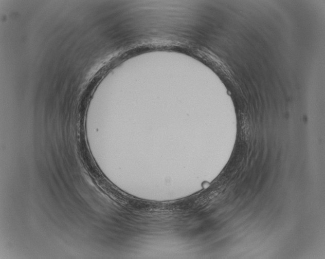 X0000062610732200601181629