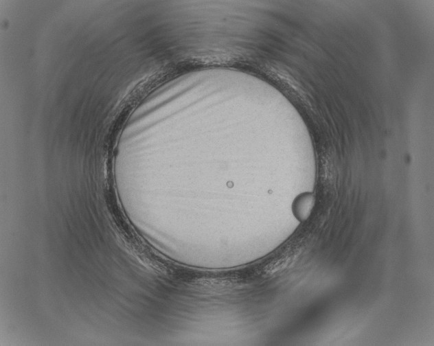 X0000062610733200601181629