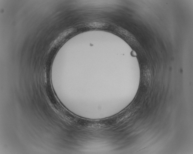 X0000062610734200601181629