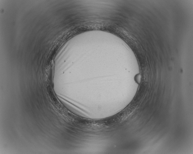 X0000062610737200601181629