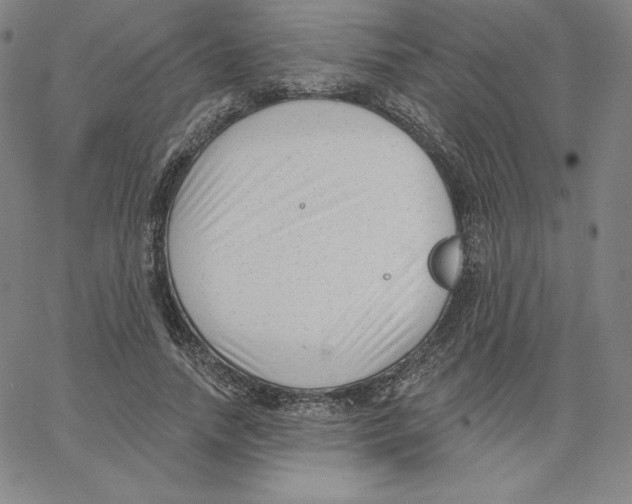 X0000062610738200601181629