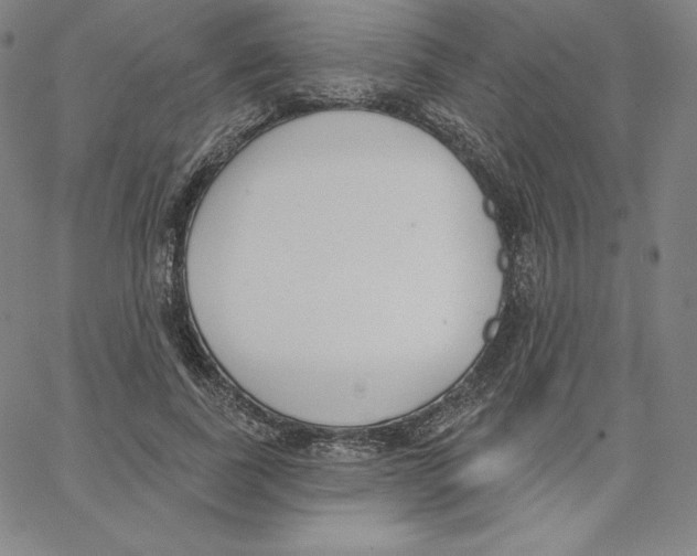 X0000062610739200601181629