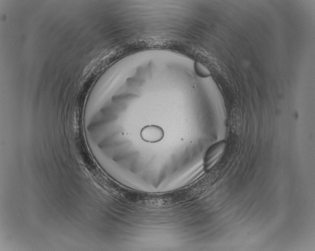 X0000062610740200601181629