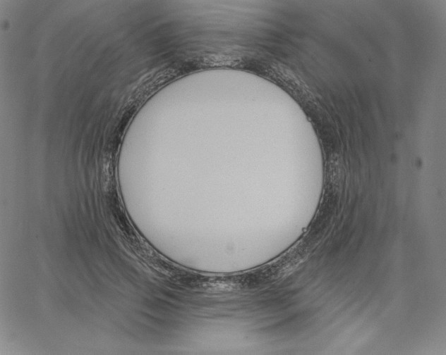 X0000062610741200601181629