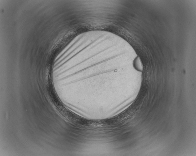 X0000062610742200601181629