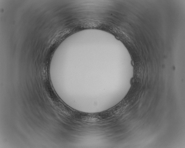 X0000062610743200601181629