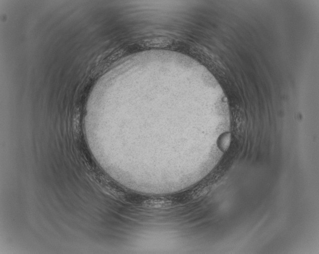 X0000062610745200601181629