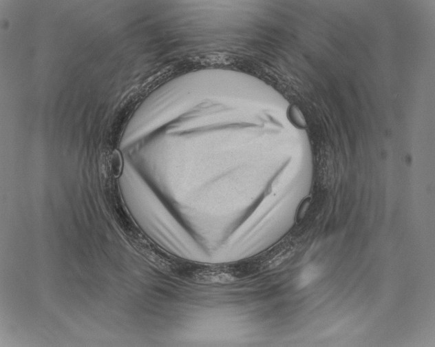 X0000062610747200601181629