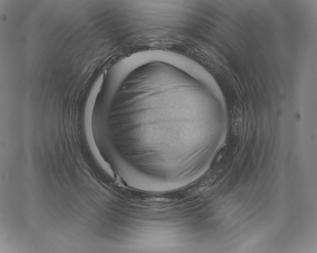 X0000062610748200601181629