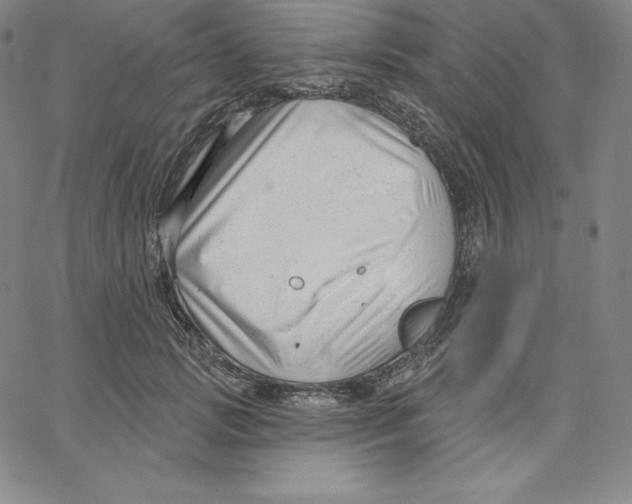 X0000062610749200601181629