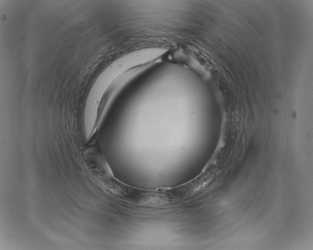 X0000062610750200601181629