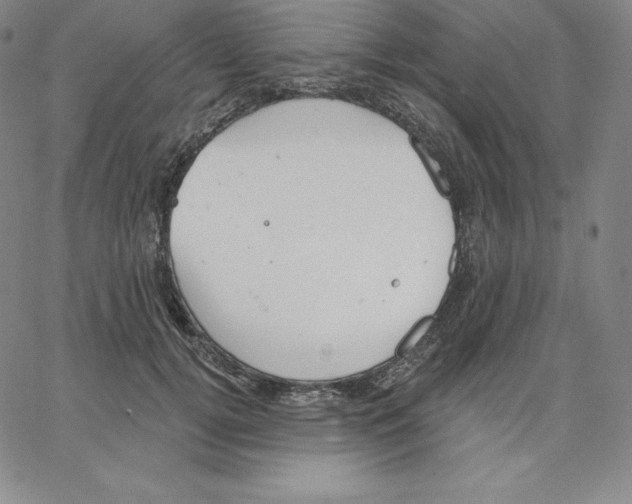 X0000062610752200601181629