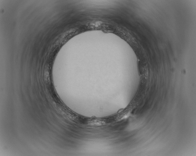 X0000062610754200601181629