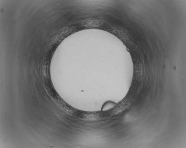 X0000062610755200601181629