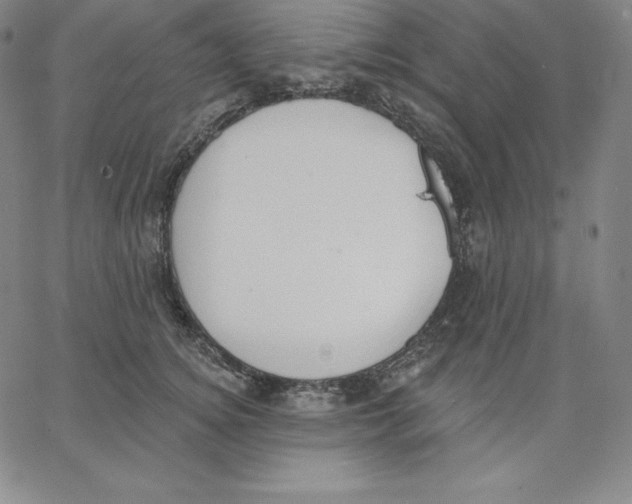 X0000062610756200601181629