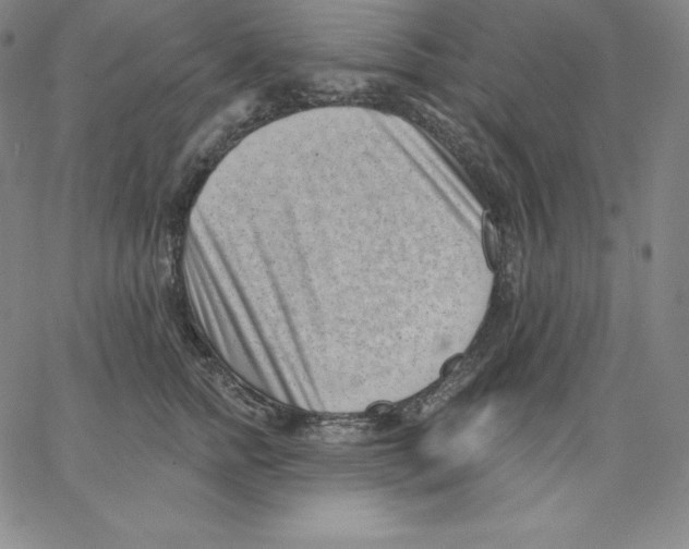 X0000062610758200601181629