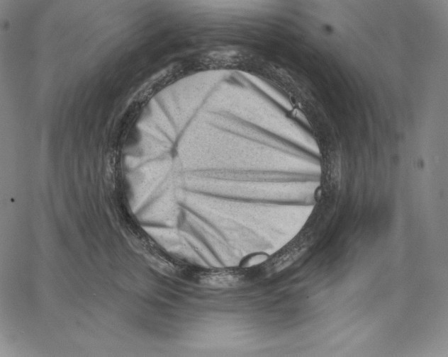 X0000062610759200601181629