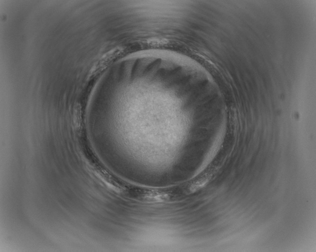 X0000062610760200601181629