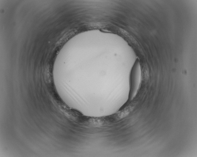 X0000062610764200601181629