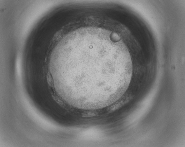 X0000062610765200601181629